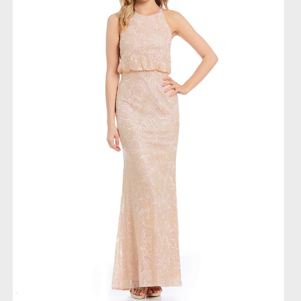 Adrianna Papell | Blush Lace Prom Gown